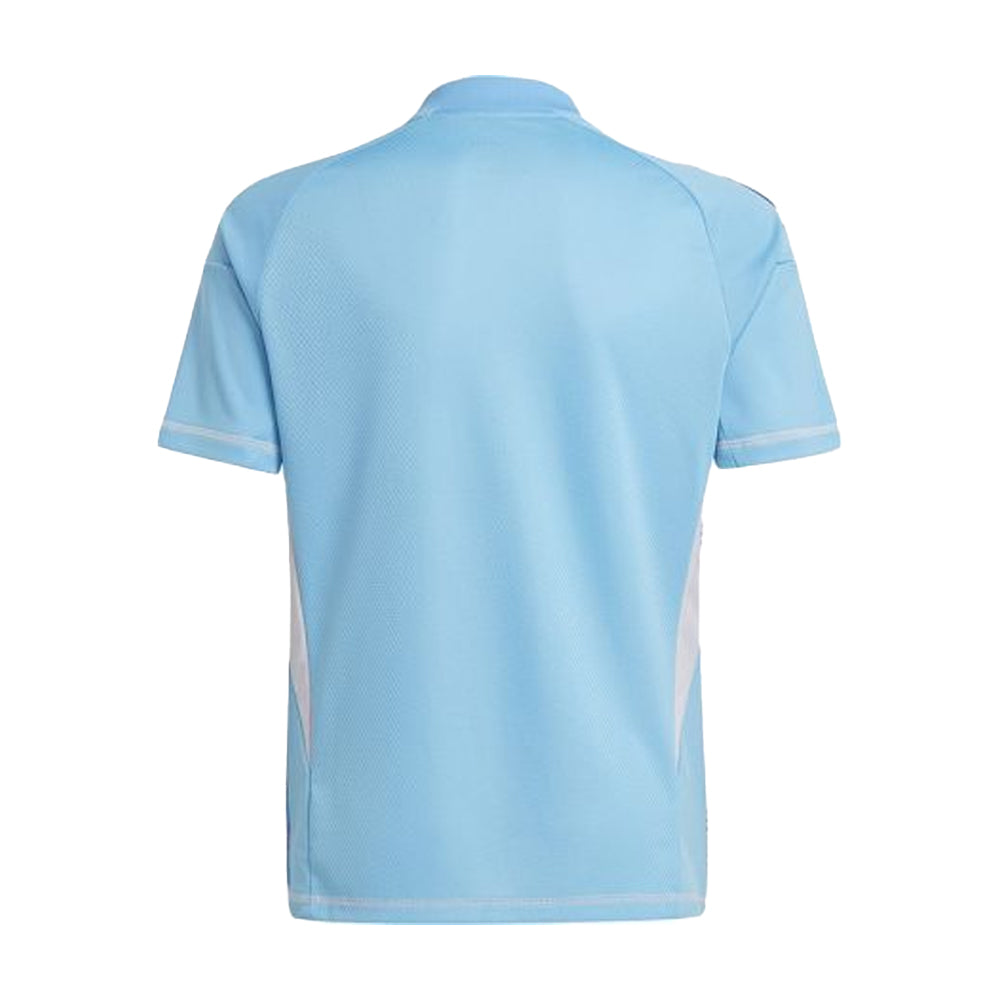Blue - Back - Real Madrid CF Childrens-Kids Adidas Goalkeeper Jersey