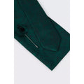 Forest Green - Side - Burton Mens Paisley Wedding Tie Set