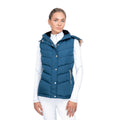 Cool Slate Blue - Front - Coldstream Womens-Ladies Leitholm Quilted Gilet