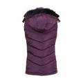 Mulberry - Back - Coldstream Womens-Ladies Leitholm Quilted Gilet