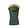Fern - Back - Coldstream Womens-Ladies Leitholm Quilted Gilet