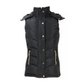 Black - Front - Coldstream Womens-Ladies Leitholm Quilted Gilet