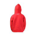 Red - Back - Hy Childrens-Kids Thelwell Collection Badge Drawstring Hoodie