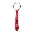 Burgundy-Gold - Front - Supreme Products Unisex Adult Diamond Show Tie