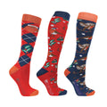 Navy-Red-Green - Front - HyFASHION Womens-Ladies Ruby The Robin Christmas Socks (Pack of 3)