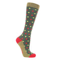 Green-Red - Lifestyle - Hy Unisex Adult Gingerbread Christmas Boot Socks (Pack of 3)