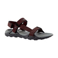 Dark Grey-Pompeian Red - Back - Craghoppers Mens Locke Sandals