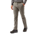 Pebble Grey - Back - Craghoppers Mens Pro Active Nosilife Trousers