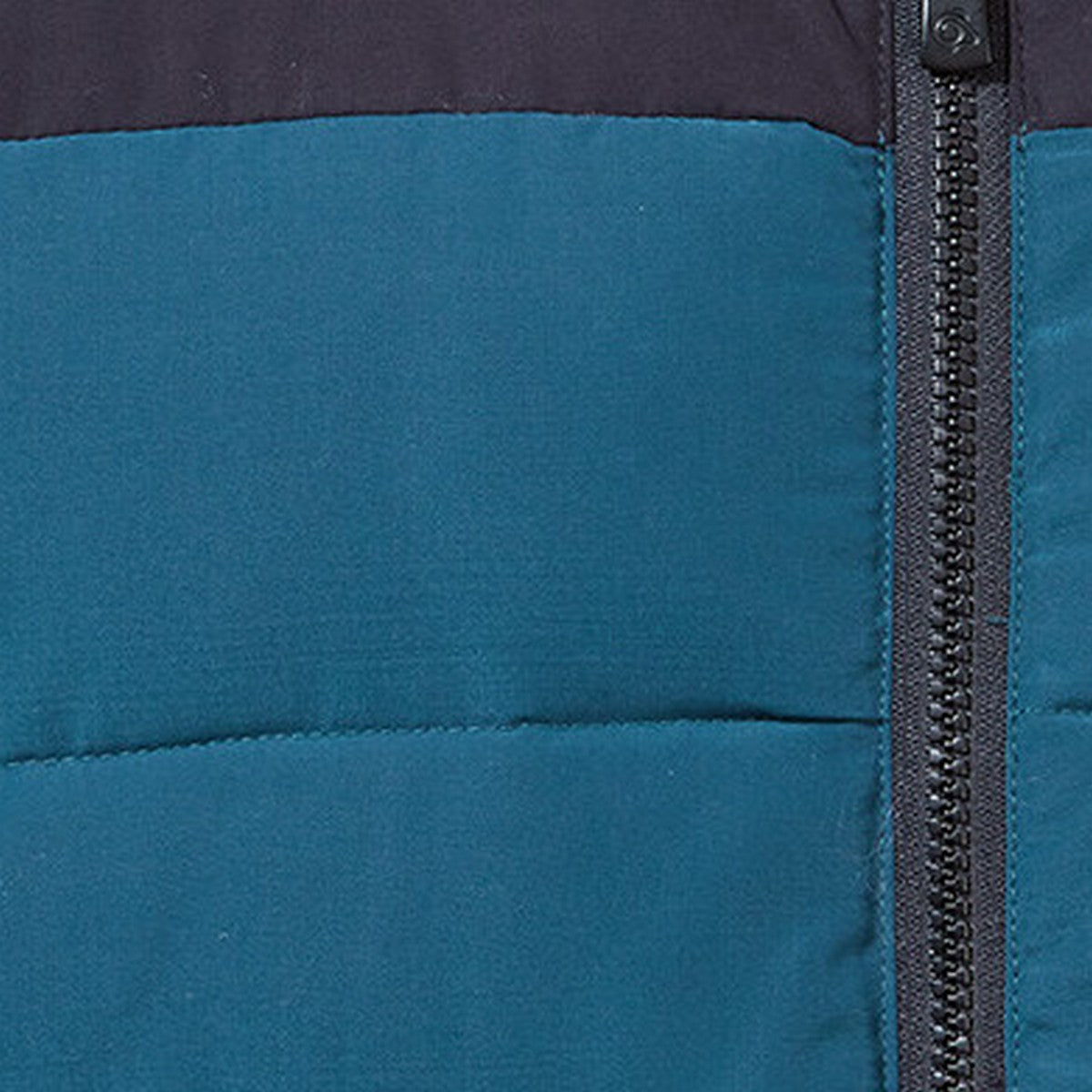 Dark Navy-Loch Blue - Back - Craghoppers Mens Trillick Insulated Padded Jacket