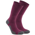 Wildberry Purple - Back - Craghoppers Unisex Adult Trek Merino Wool Socks