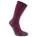 Wildberry Purple - Front - Craghoppers Unisex Adult Trek Merino Wool Socks
