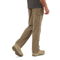 Pebble - Back - Craghoppers Mens Convertible II Nosilife Trousers