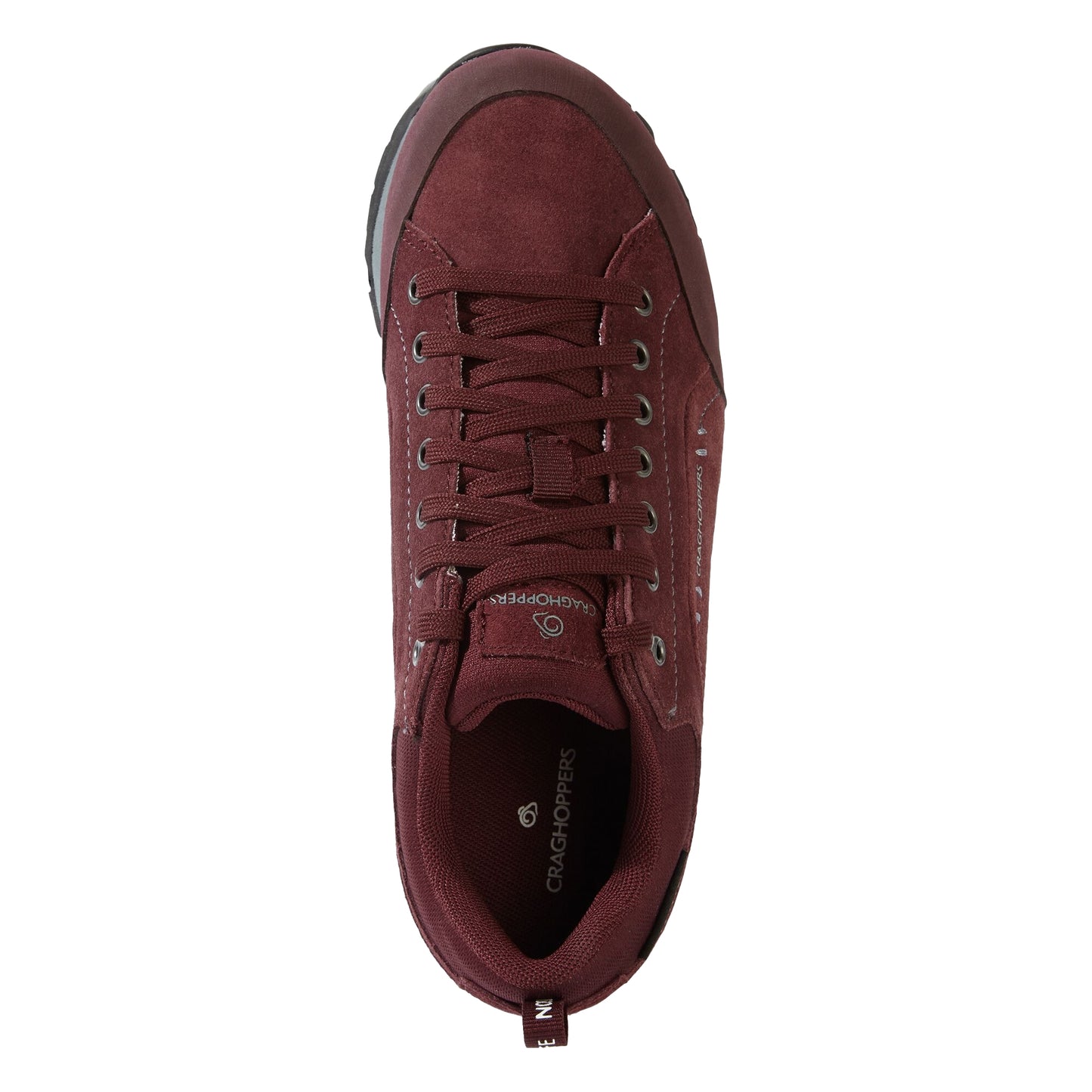 Wildberry - Front - Craghoppers Womens-Ladies Suede Trainers