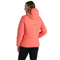 Deep Coral - Back - Craghoppers Womens-Ladies Compresslite VIII Hooded Padded Jacket