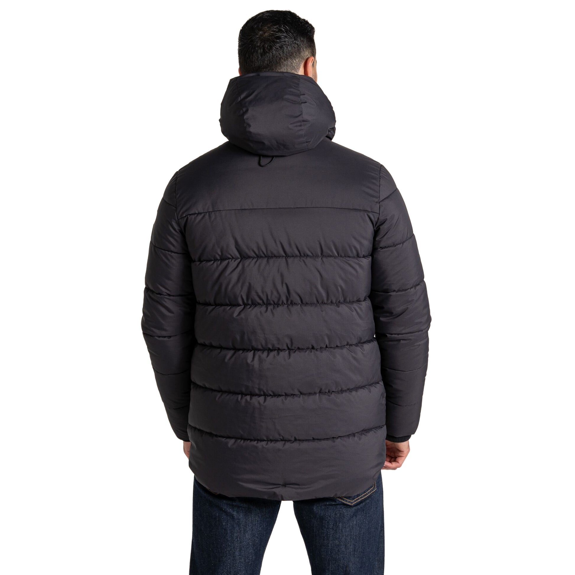 Black - Back - Craghoppers Mens Sutherland Hooded Insulated Jacket