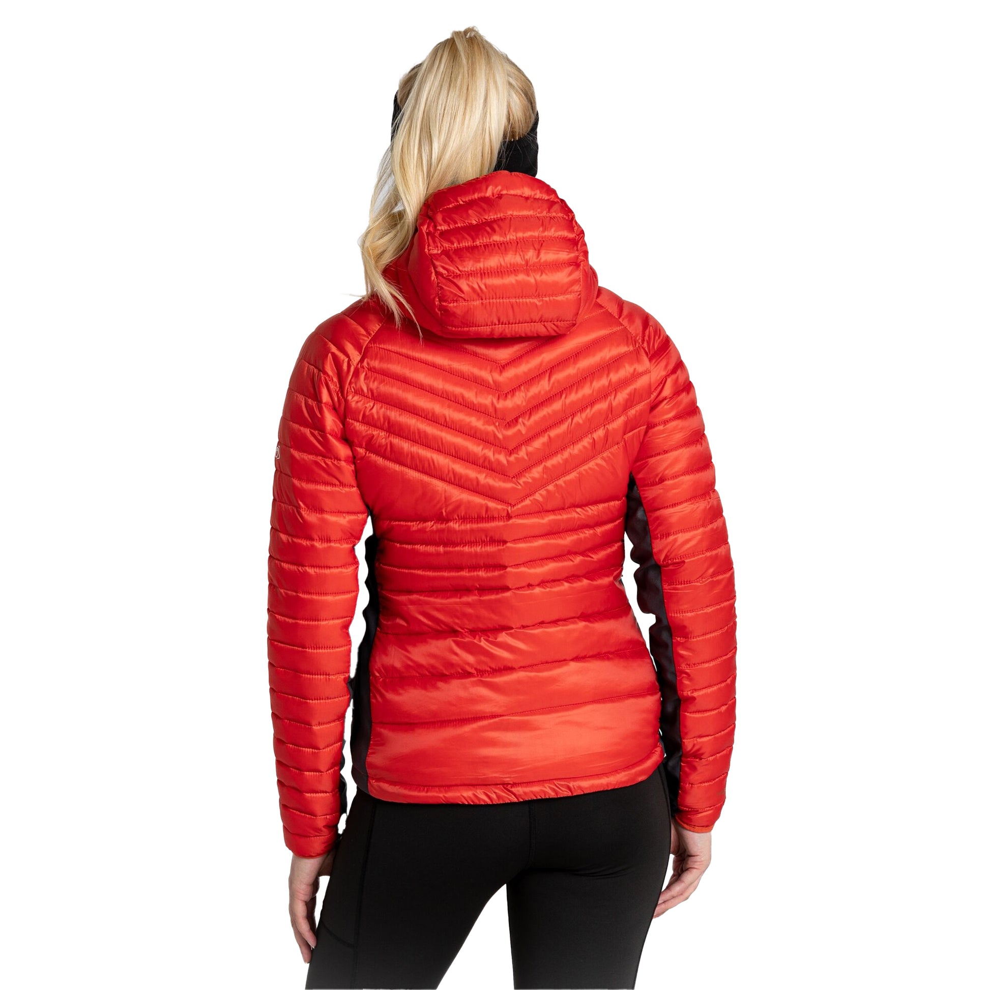 Ember Orange - Back - Craghoppers Womens-Ladies Expolite Hooded Padded Jacket