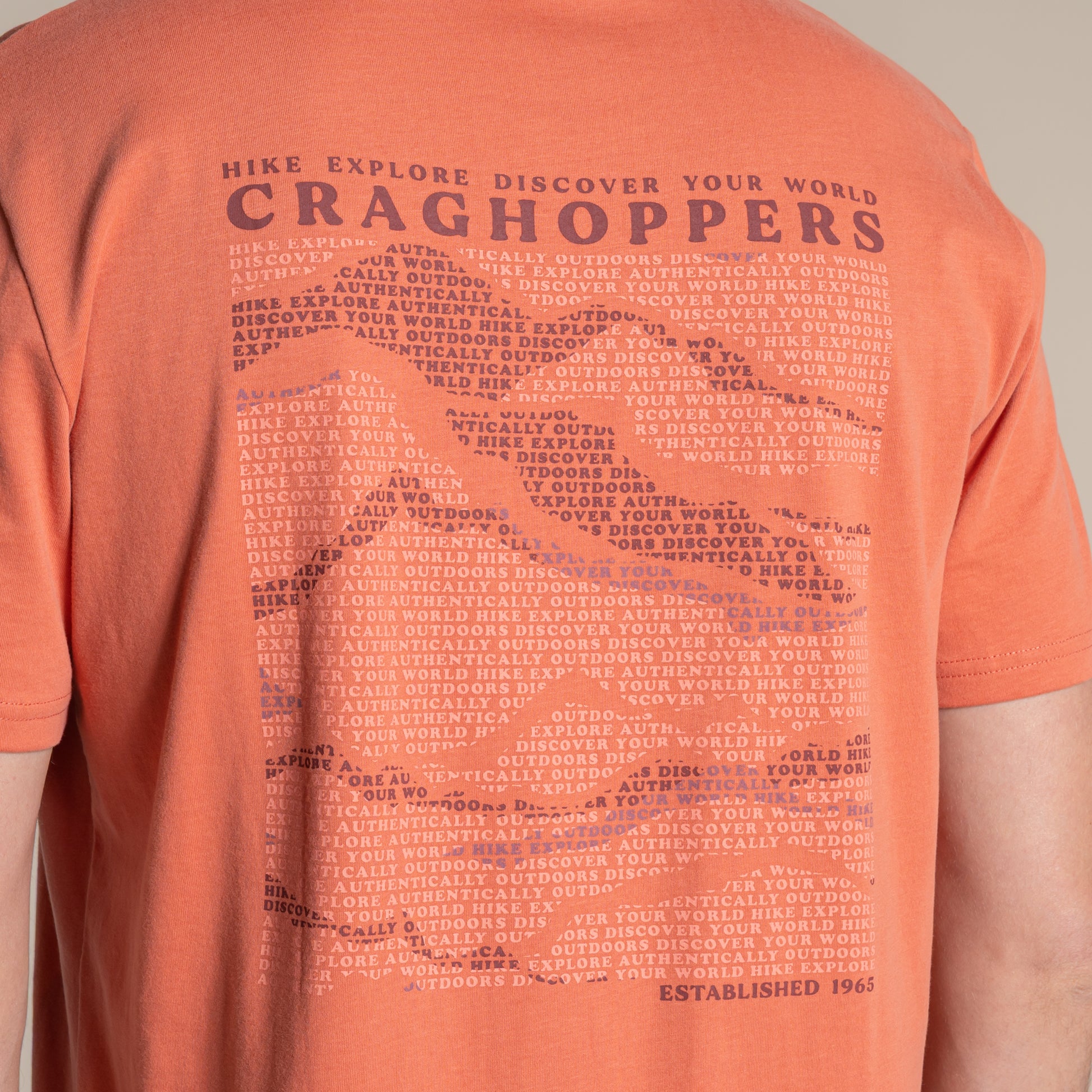 Sahara - Lifestyle - Craghoppers Mens Lucent II Mountain Back Print Short-Sleeved T-Shirt