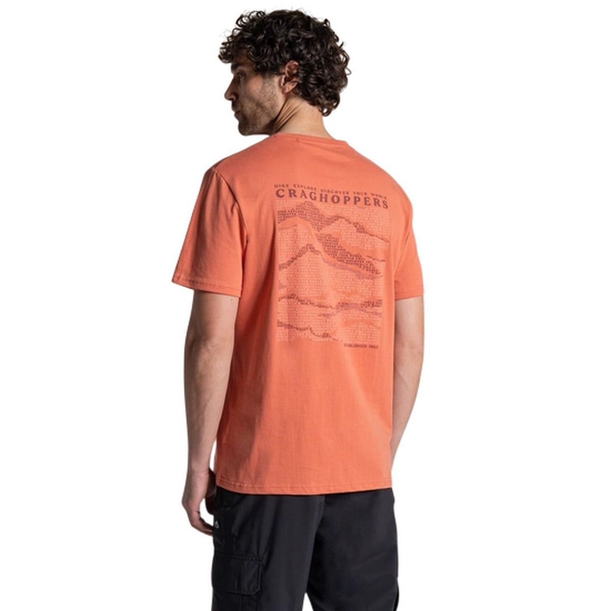 Sahara - Lifestyle - Craghoppers Mens Lucent II Mountain Back Print Short-Sleeved T-Shirt