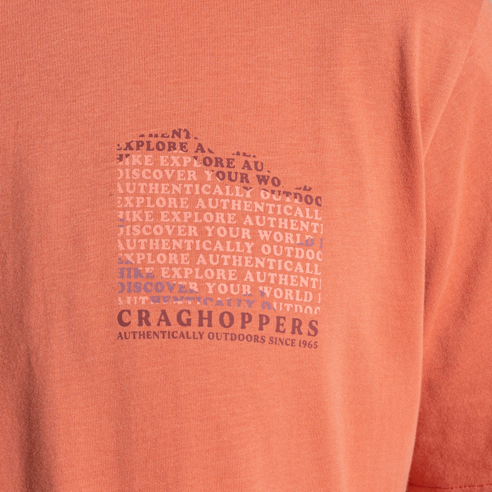 Sahara - Pack Shot - Craghoppers Mens Lucent II Mountain Back Print Short-Sleeved T-Shirt