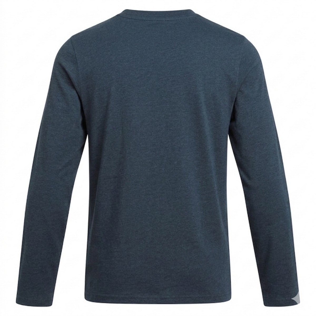 Blue Stone - Back - Craghoppers Childrens-Kids Cruz Lion Nosilife Long-Sleeved T-Shirt