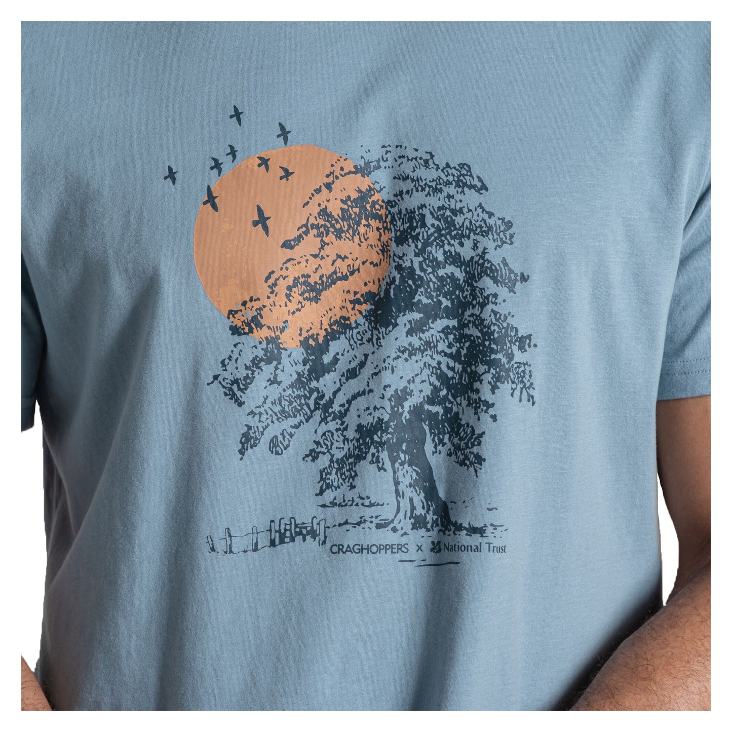 Morning Fog - Back - Craghoppers Mens National Trust Sabden Sunrise T-Shirt
