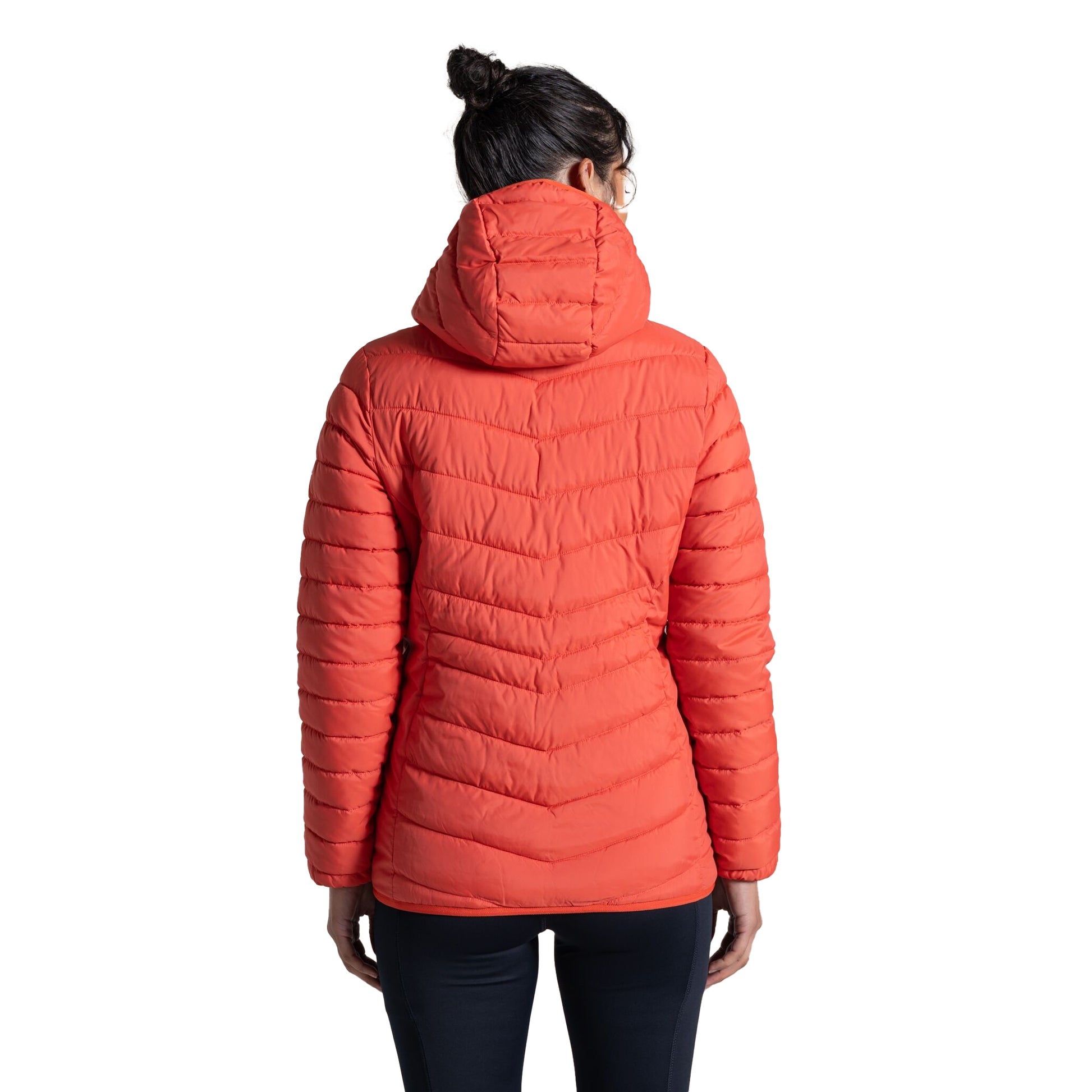 Grenadine - Back - Craghoppers Womens-Ladies Compresslite IX Insulated Hooded Jacket