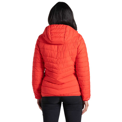 Red Dawn - Back - Craghoppers Womens-Ladies Compresslite IX Insulated Hooded Jacket