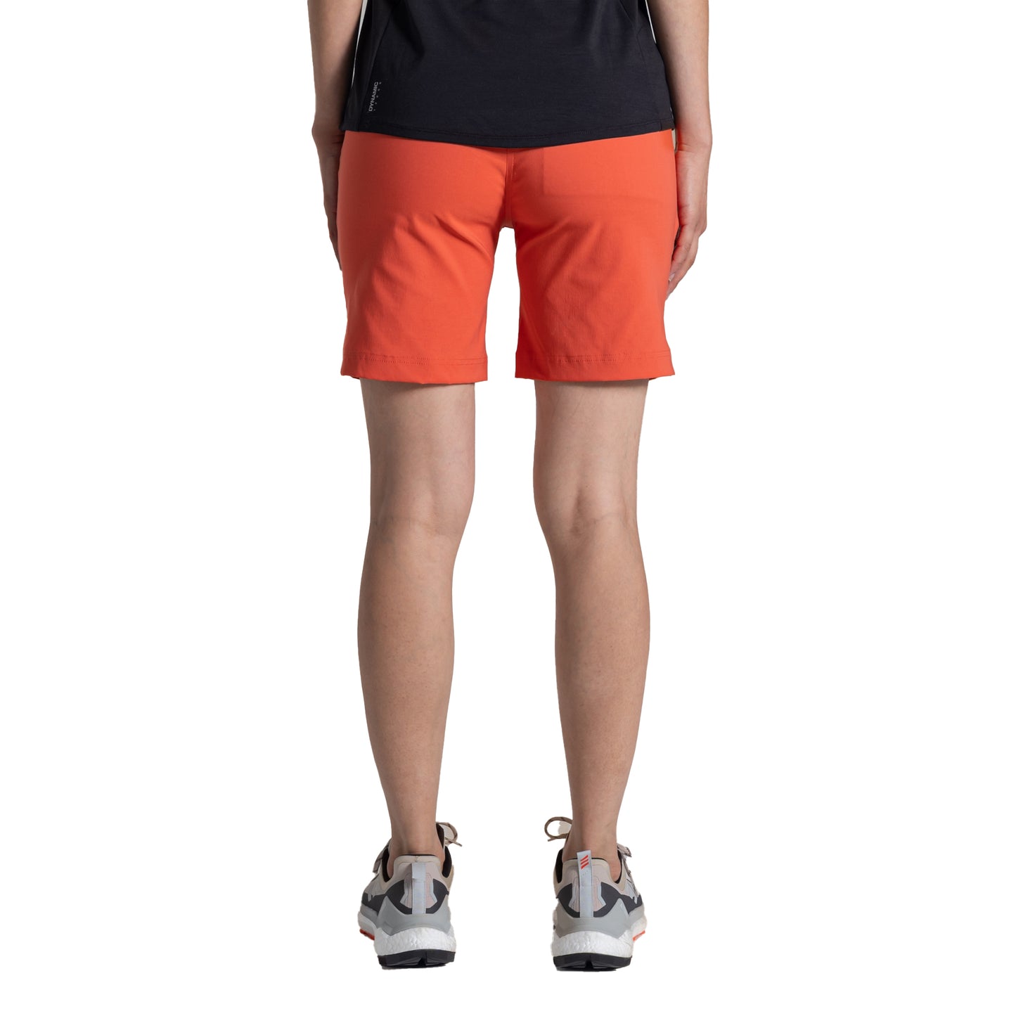 Grenadine - Back - Craghoppers Womens-Ladies Kiwi Pro III Casual Shorts