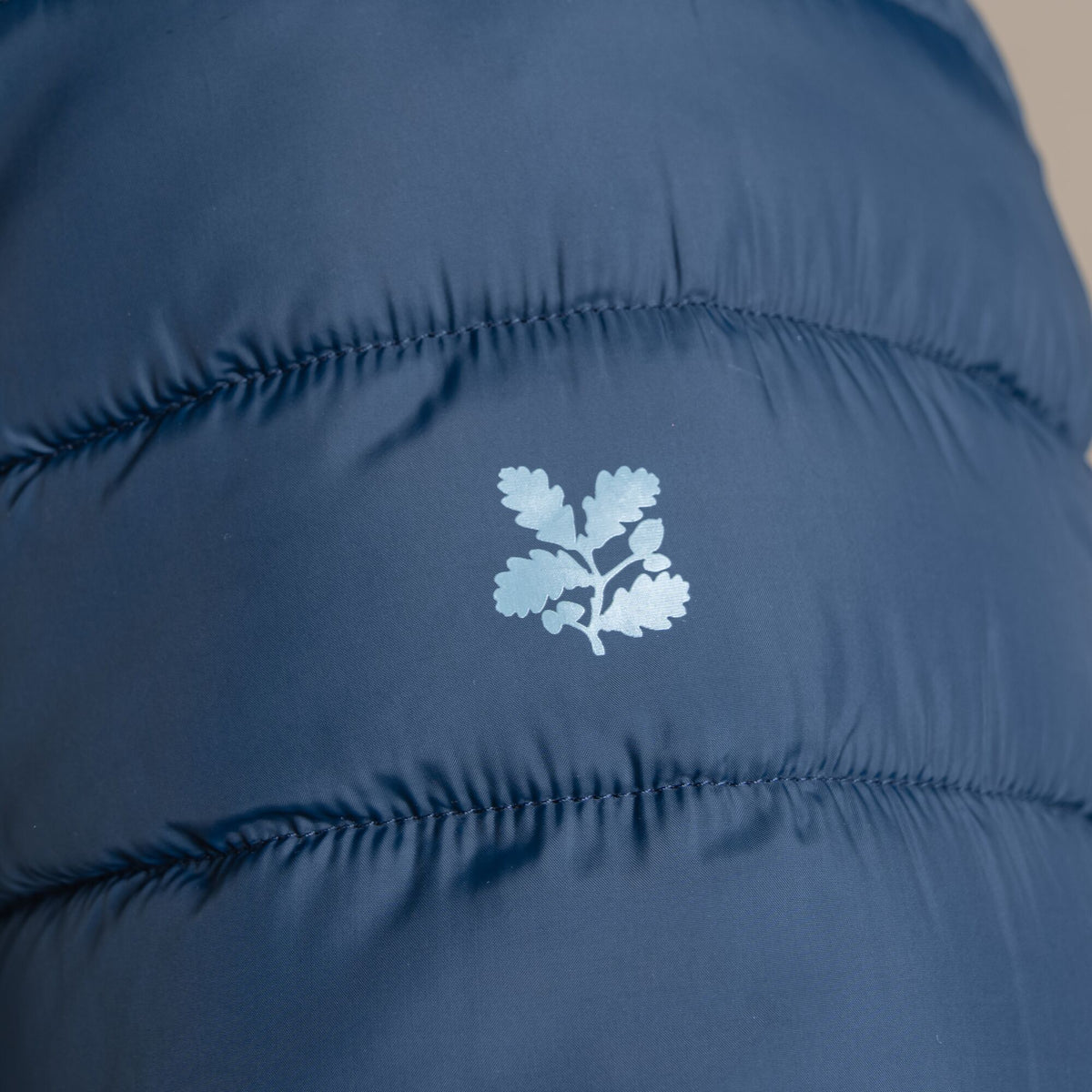 Blue Navy - Pack Shot - Craghoppers Mens National Trust Dalesway Padded Jacket