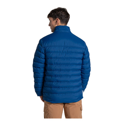 Juniper Berry - Back - Craghoppers Mens National Trust Dalesway Padded Jacket