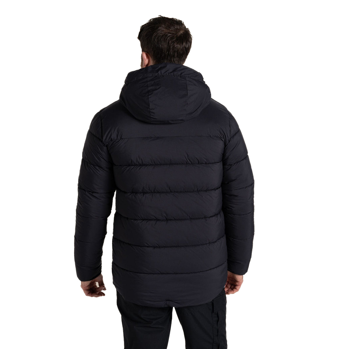 Black - Back - Craghoppers Unisex Adult Expert Padded Padded Jacket