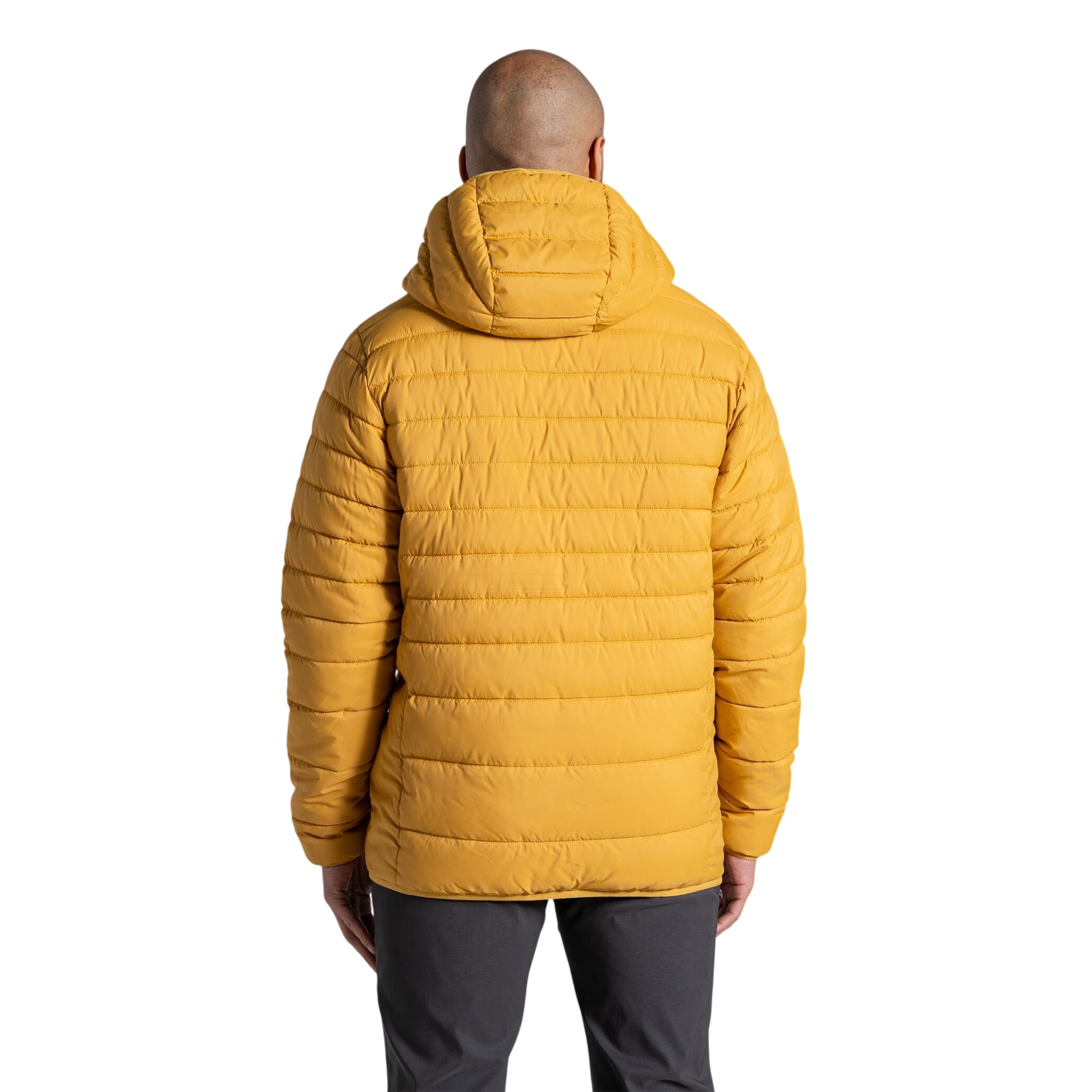 Beesewax - Back - Craghoppers Mens Compresslite IX Hooded Padded Jacket