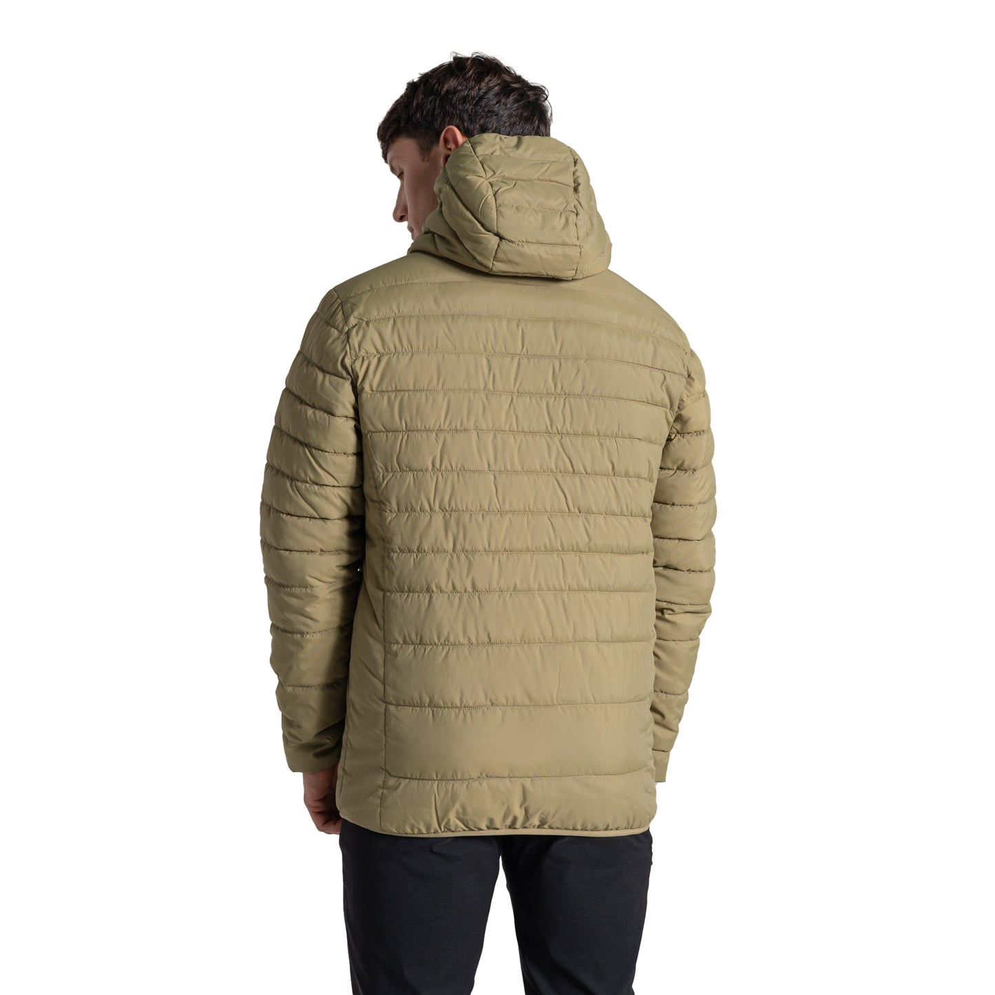 Cardamom - Back - Craghoppers Mens Compresslite IX Hooded Padded Jacket