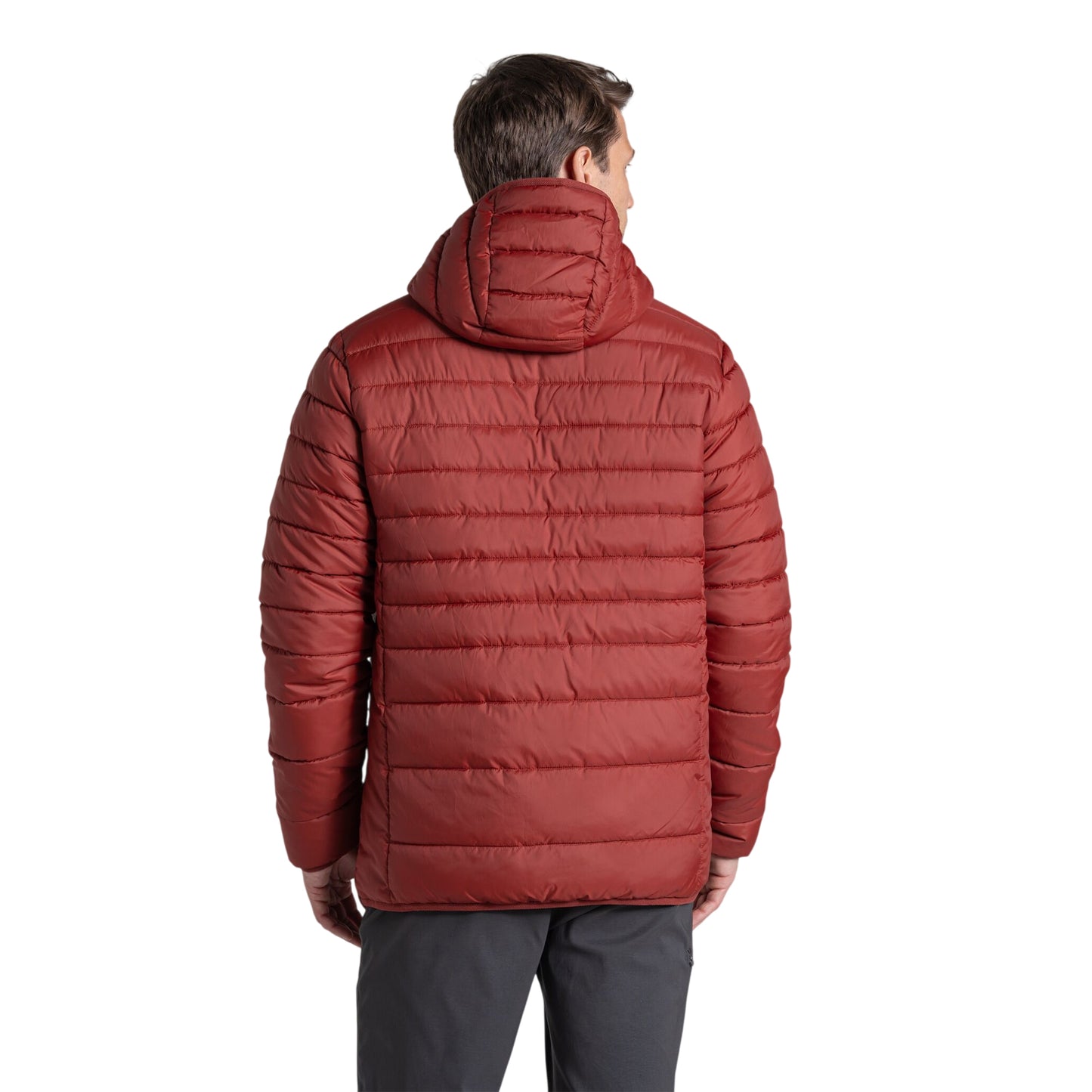 Red Jasper - Back - Craghoppers Mens Compresslite IX Hooded Padded Jacket