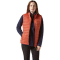 Warm Ginger - Back - Craghoppers Womens-Ladies VentaLite Vest