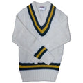 Green-Amber - Front - Carta Sport Mens Cricket Jumper