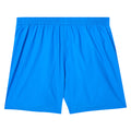 Blue - Back - Speedo Boys Essential 13 Swim Shorts