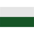 White-Green - Front - Carta Sport Corner Flag