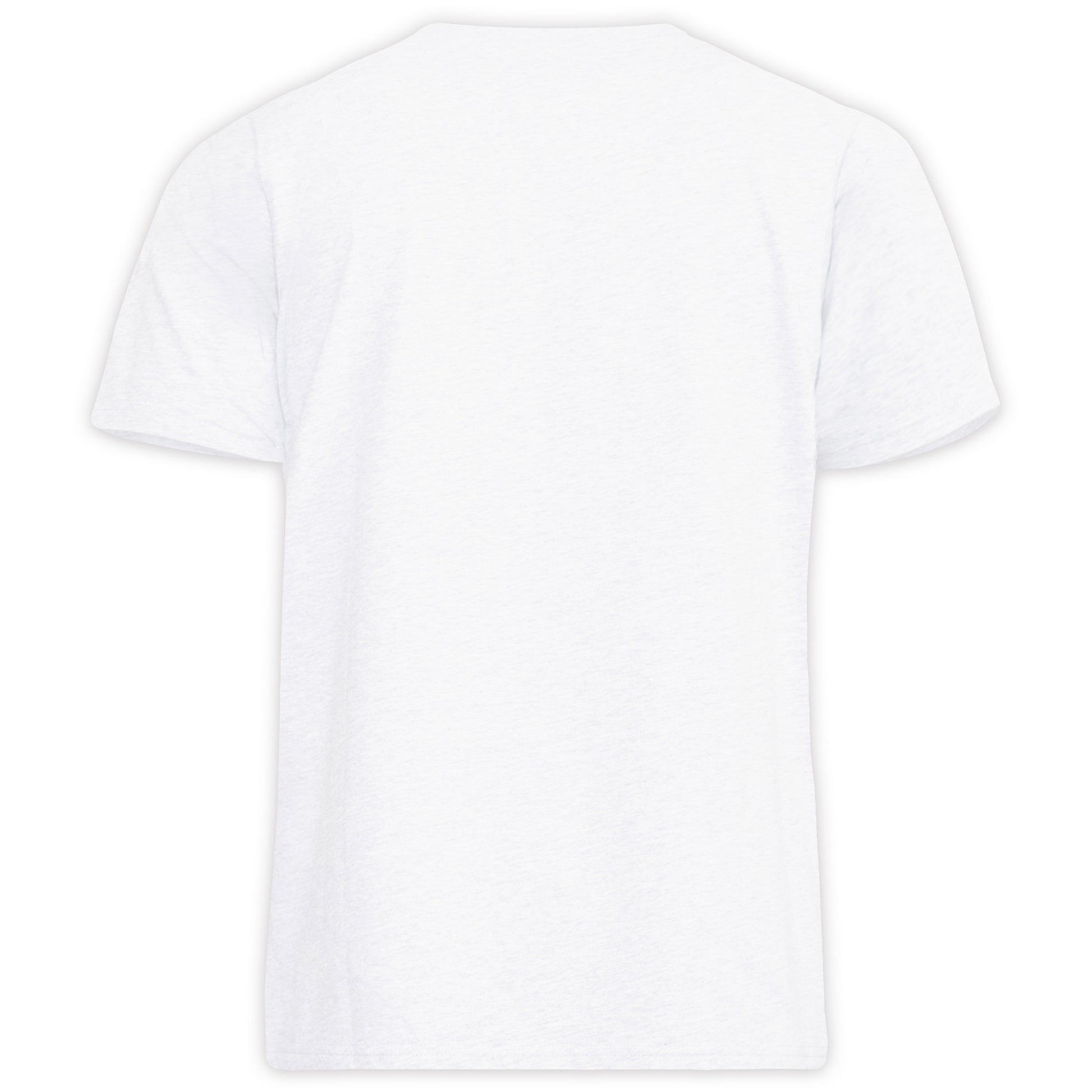 White - Back - Duke Mens D555 Flyers Crew Neck Kingsize T-Shirt