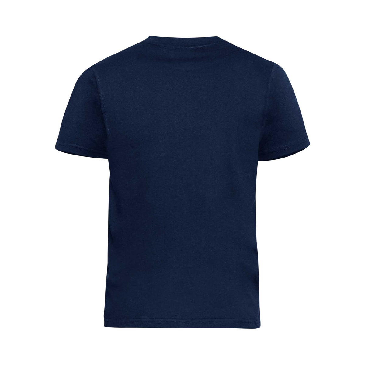 Navy - Back - Duke Mens D555 Flyers Crew Neck Kingsize T-Shirt