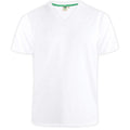 White - Front - Duke Mens D555 Signature Cotton Kingsize T-Shirt