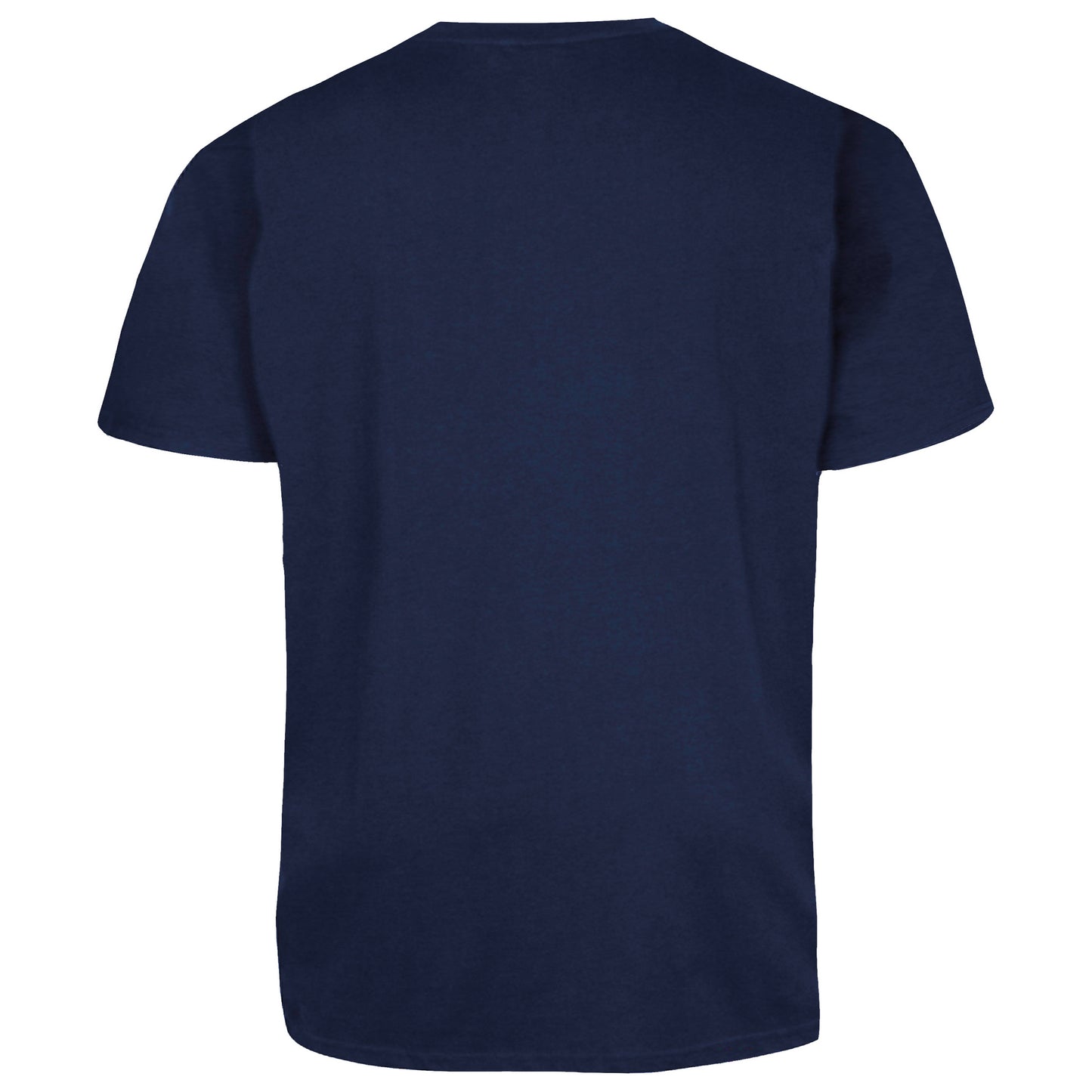 Teal - Front - Duke Mens D555 Signature Cotton Kingsize T-Shirt