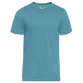 Teal - Back - D555 Mens Flyers-2 Crew Neck T-Shirt