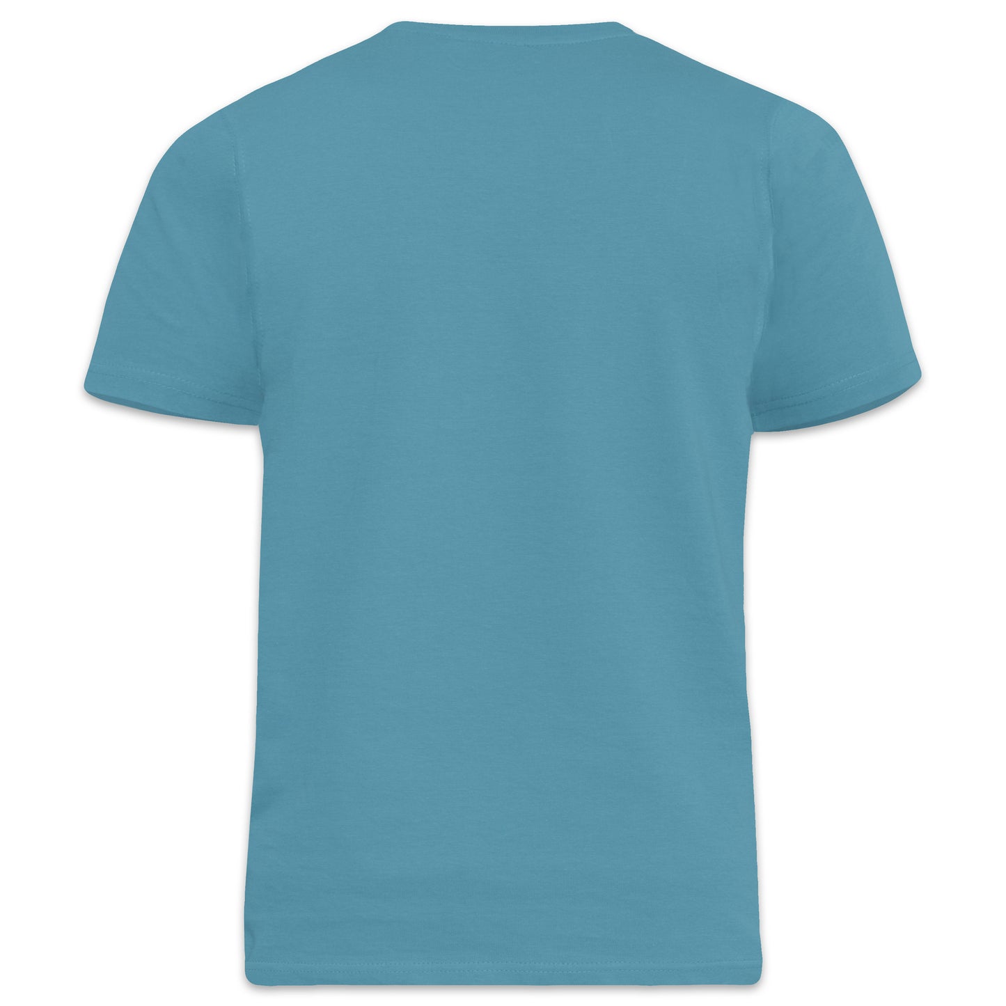 Teal - Back - Duke Mens D555 Flyers 2 Kingsize T-Shirt