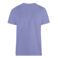 Blue - Back - D555 Mens Flyers-2 Kingsize Crew Neck T-Shirt