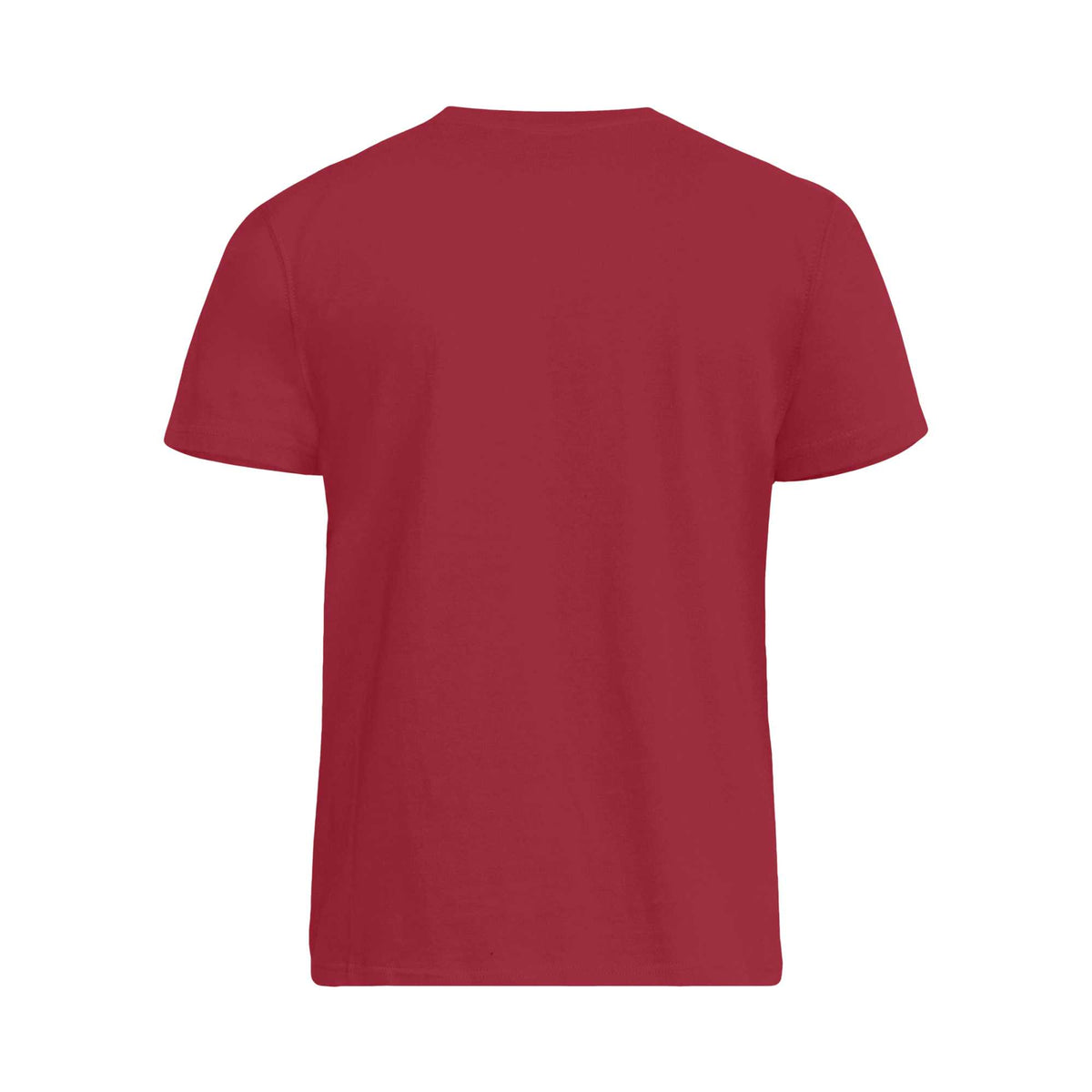 Red - Back - Duke Mens D555 Flyers 2 Kingsize T-Shirt