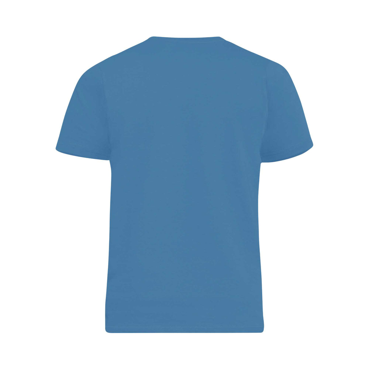 Teal - Back - Duke Mens D555 Flyers 2 Kingsize T-Shirt