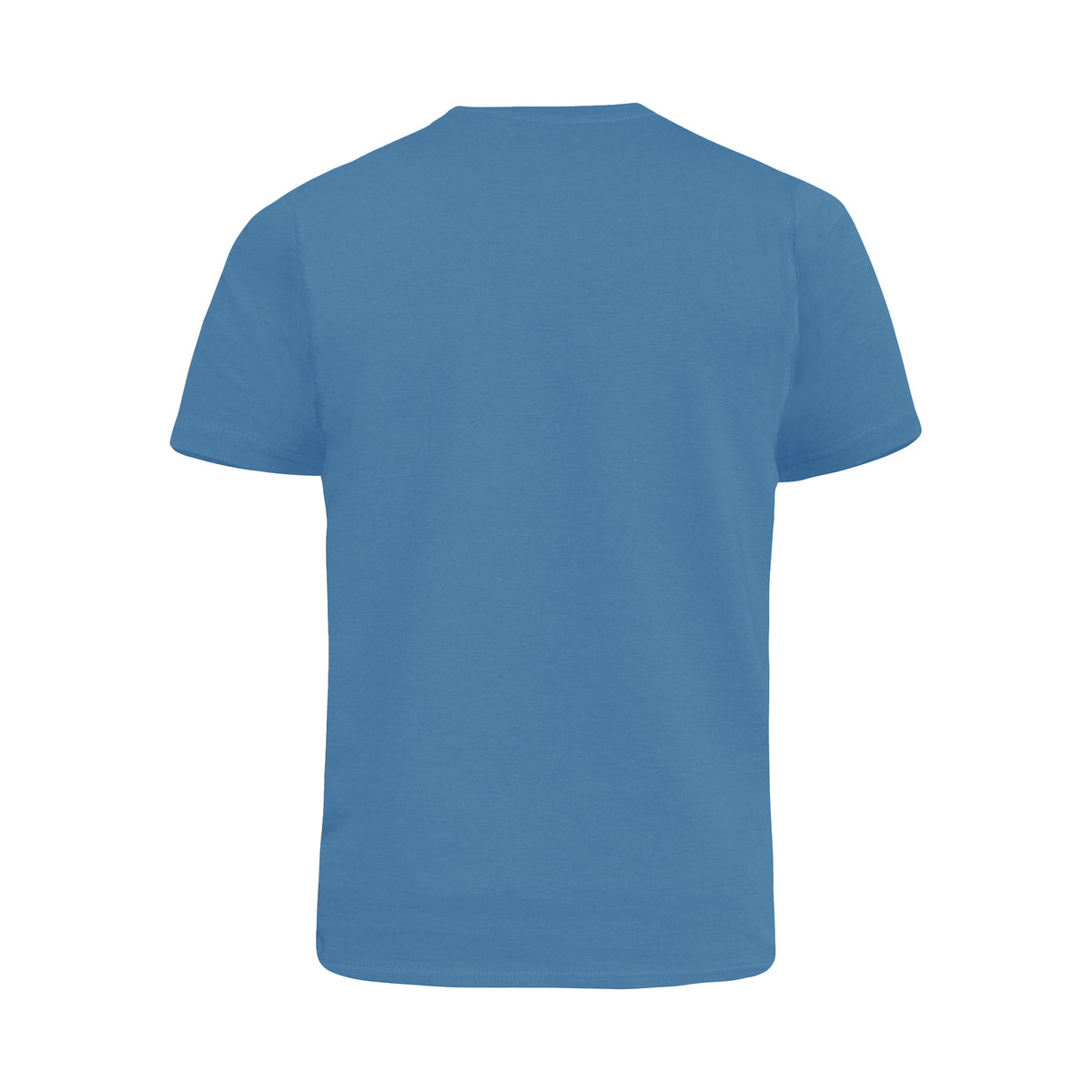 Teal - Back - Duke Mens D555 Signature Kingsize T-Shirt
