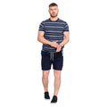 Navy-White - Pack Shot - D555 Mens Piccadilly Yarn Dyed Stripe Jacquard Kingsize T-Shirt