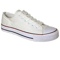 White - Front - Dek Womens-Ladies Canvas Trainer Shoe